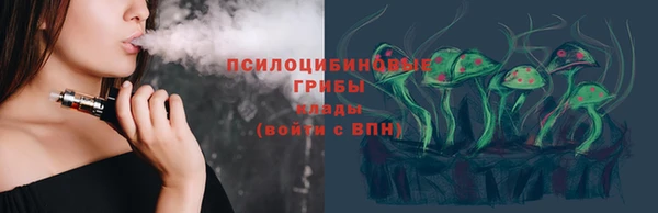 ГАЛЛЮЦИНОГЕННЫЕ ГРИБЫ Бронницы