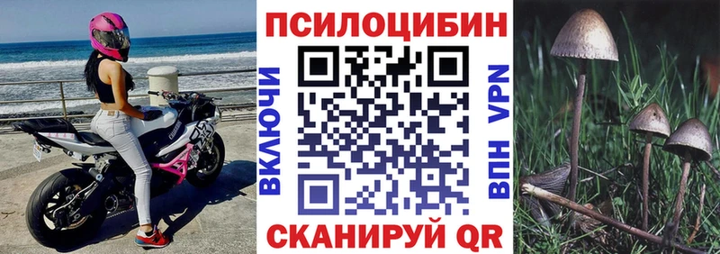 Галлюциногенные грибы Psilocybe Десногорск