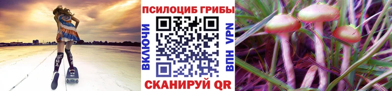 что такое Десногорск площадка Telegram Галлюциногенные грибы Psilocybe